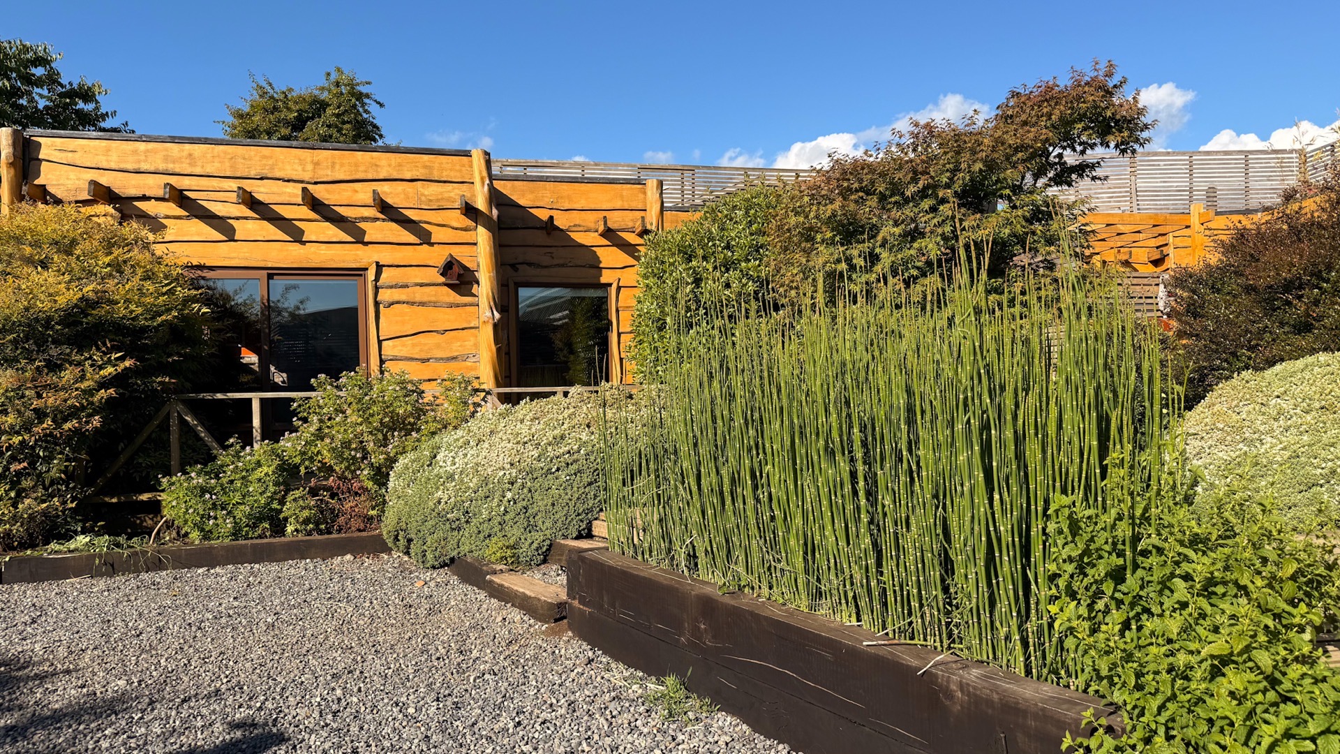 Cabaña Carpintero Negro